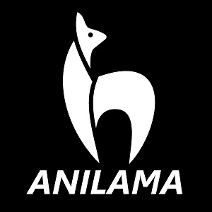 Fotobudka do wynajecia - Imprezy dla firm - Anilama